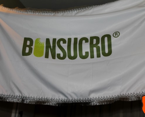 Bandeira de Escola de Samba Personalizada em evento Corporatibo