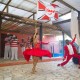 Mestre Sala e Porta Bandeira com bandeira personalizada